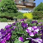 Haus Anna Apartment *