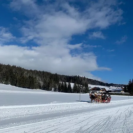 Haus Anna Appartement Ramsau am Dachstein