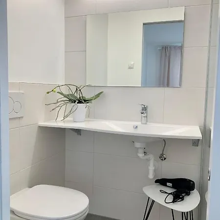 Appartement Haus Anna Ramsau am Dachstein