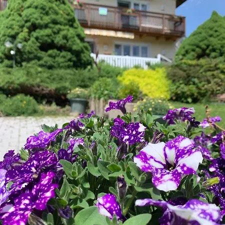 Haus Anna 아파트 *