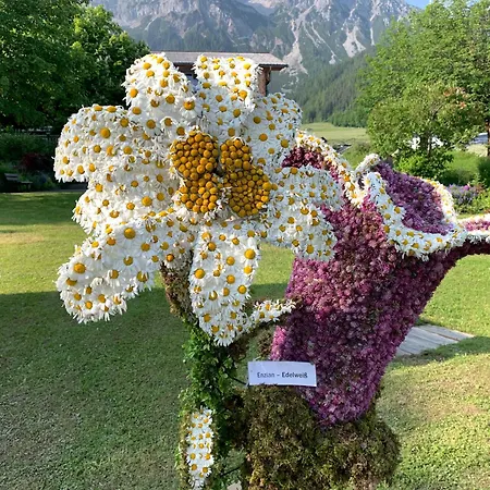 Haus Anna Appartement