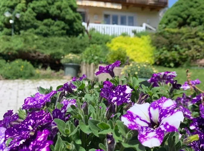 Haus Anna Appartement *